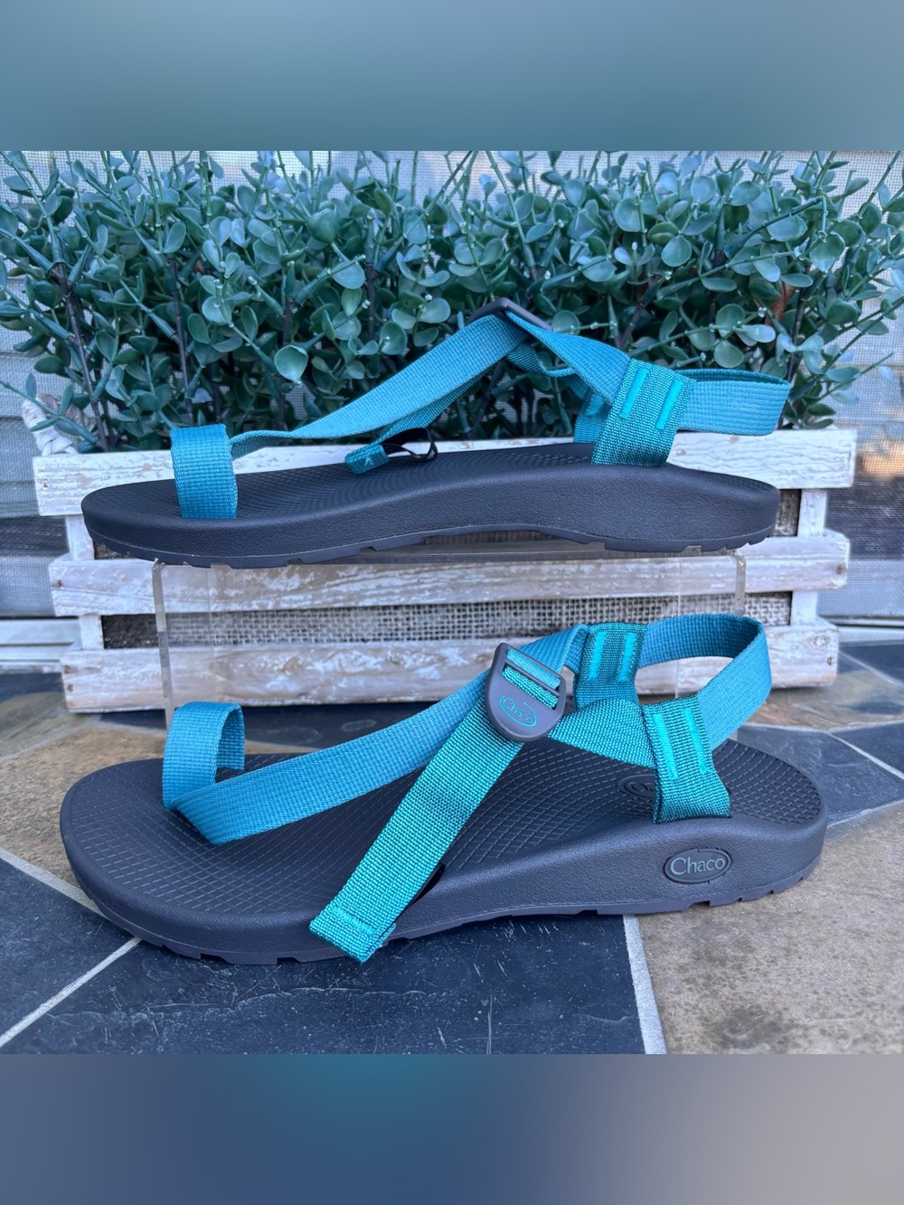 Chaco Bodhi Sandals